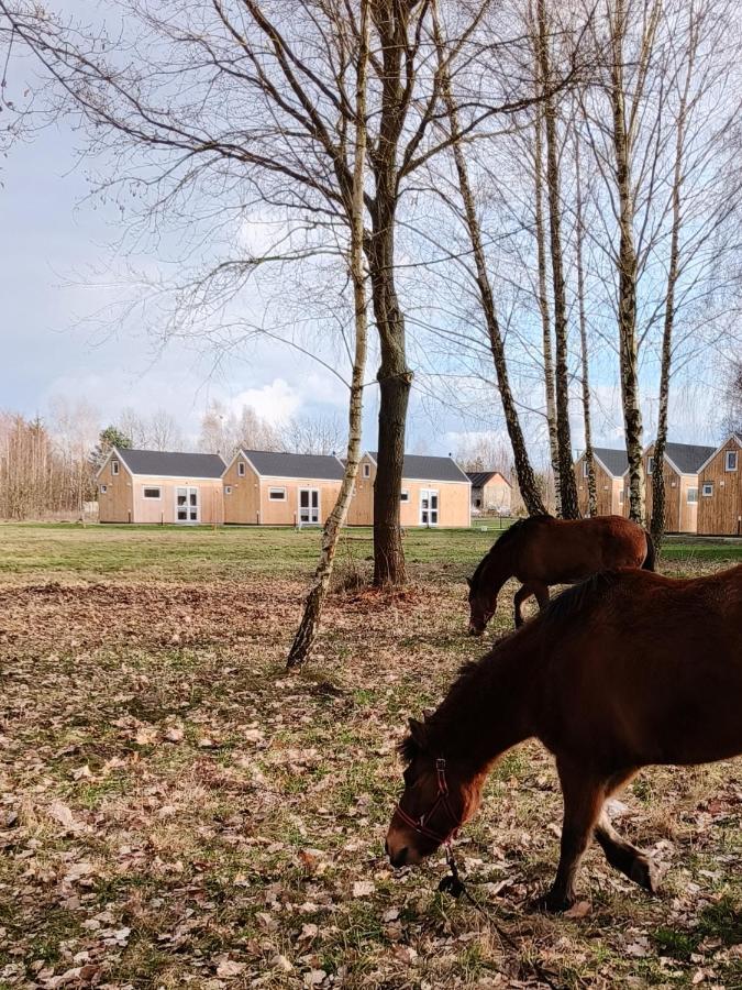 Zagajnik Country Camp Obok Suntago Villa Grabce-Towarzystwo ภายนอก รูปภาพ